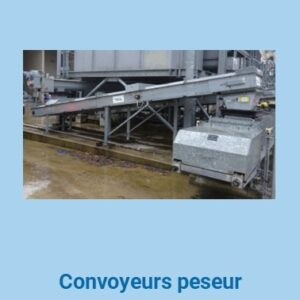 145 d - Tapis convoyeur